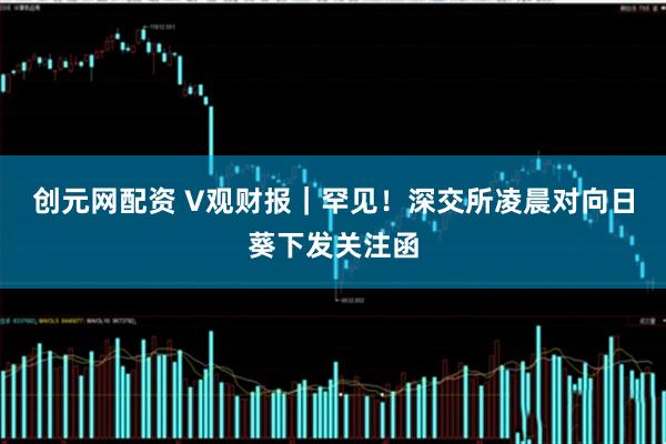 创元网配资 V观财报｜罕见！深交所凌晨对向日葵下发关注函