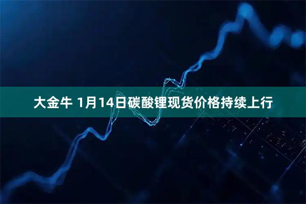 大金牛 1月14日碳酸锂现货价格持续上行