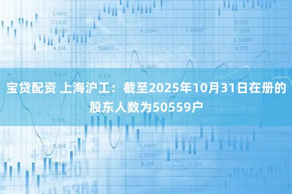 宝贷配资 上海沪工：截至2025年10月31日在册的股东人数为50559户